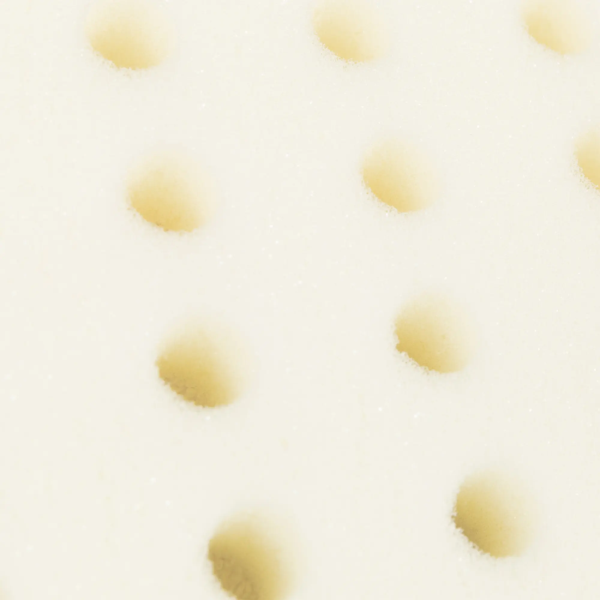 GuancialeBABYAntisoffoco_10