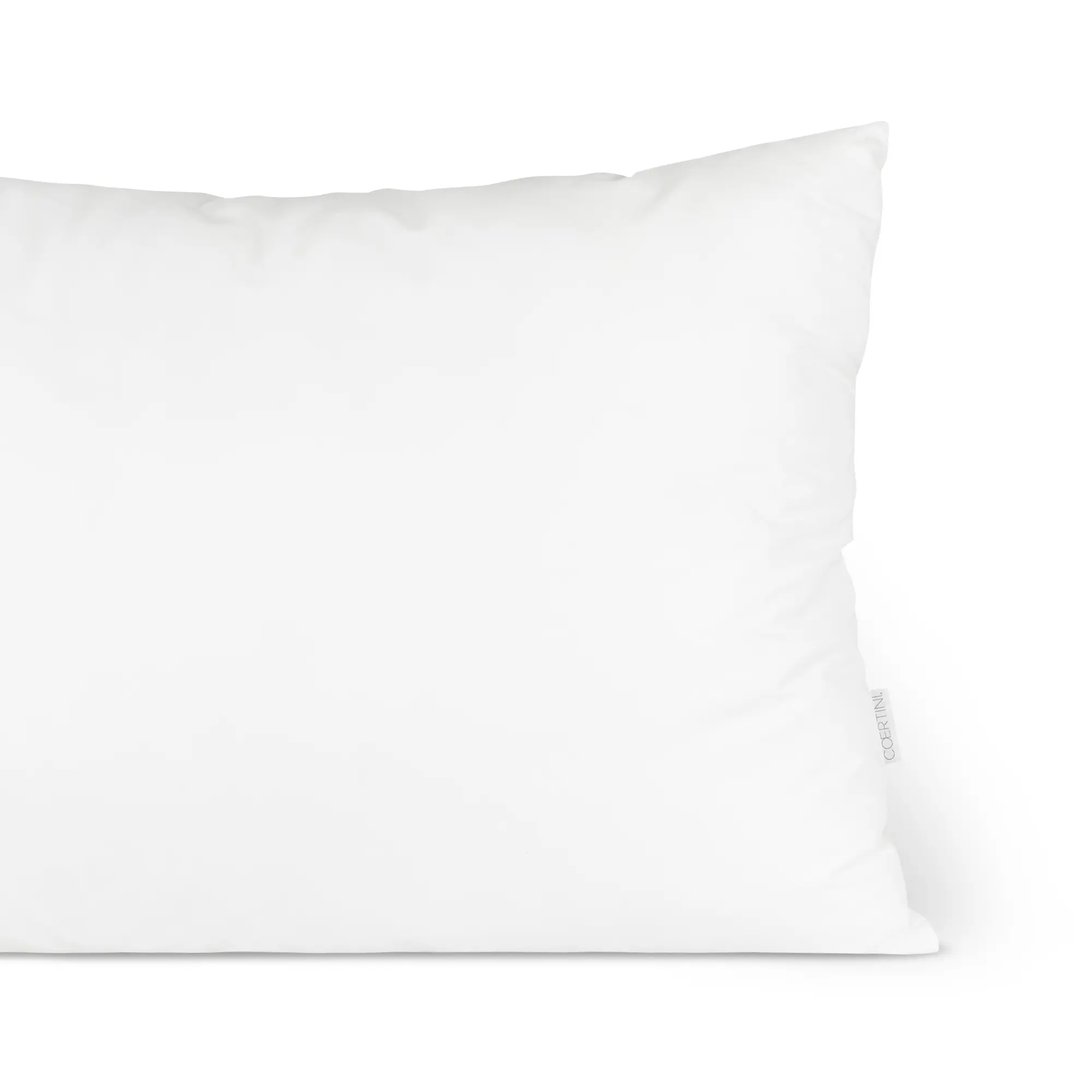 GuancialeSWEETDREAM_02