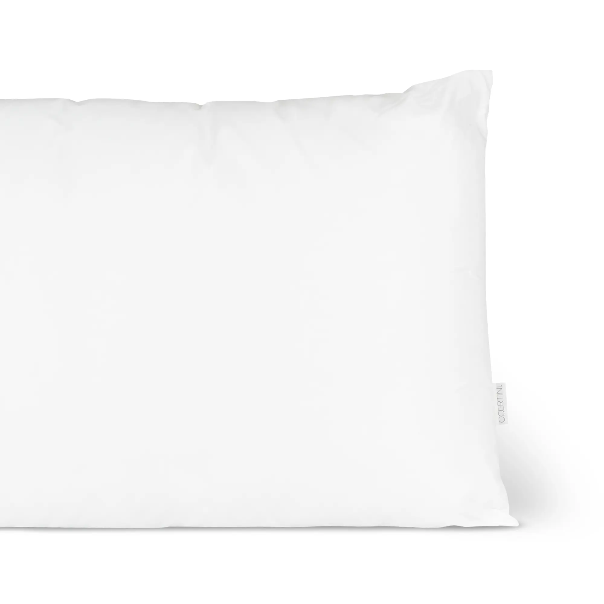 GuancialesSTOPFIRE_02